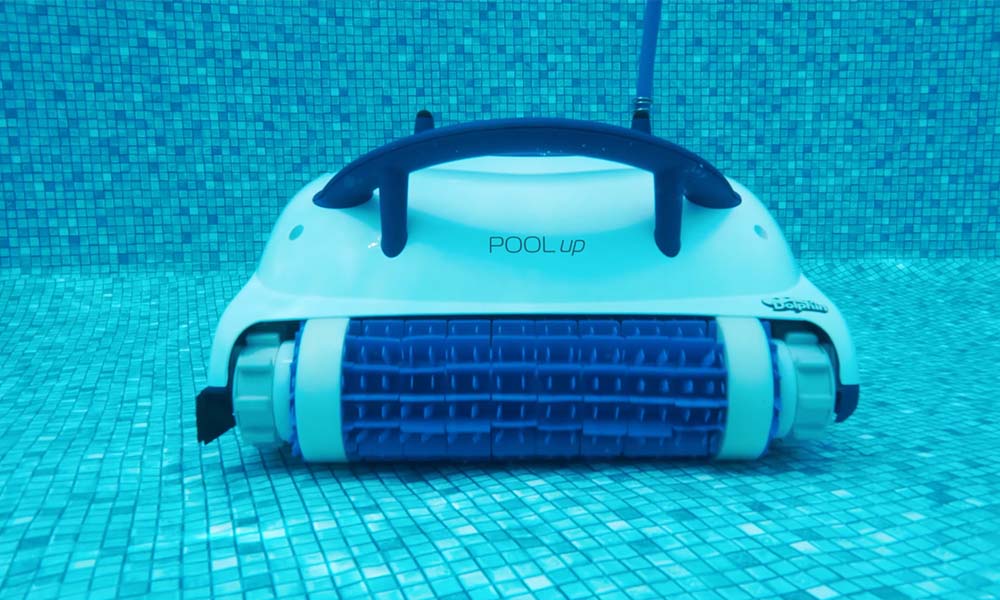 Dolphin Nautilus Pool Up Dual Brushes